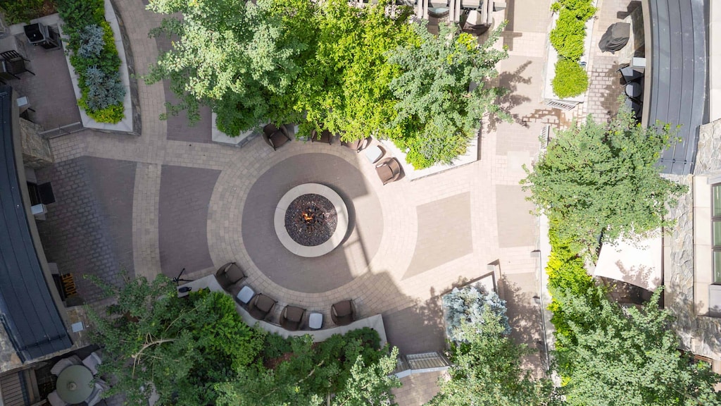 lion-0037_54655055875_o_1