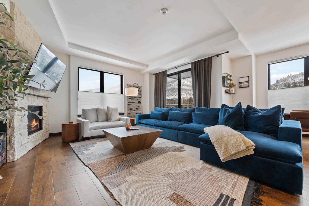 the-lion-w404-5721_52035659980_o