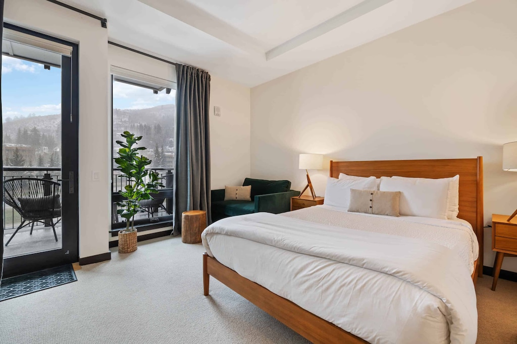 the-lion-w404-5841_52035397279_o