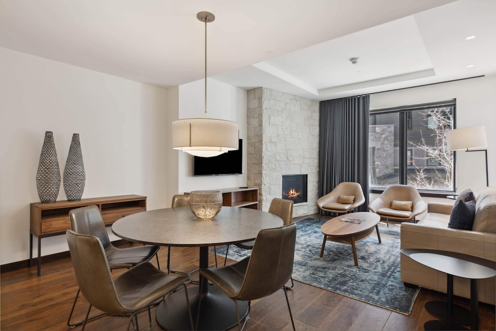 lion-e202-0632_53695038204_o