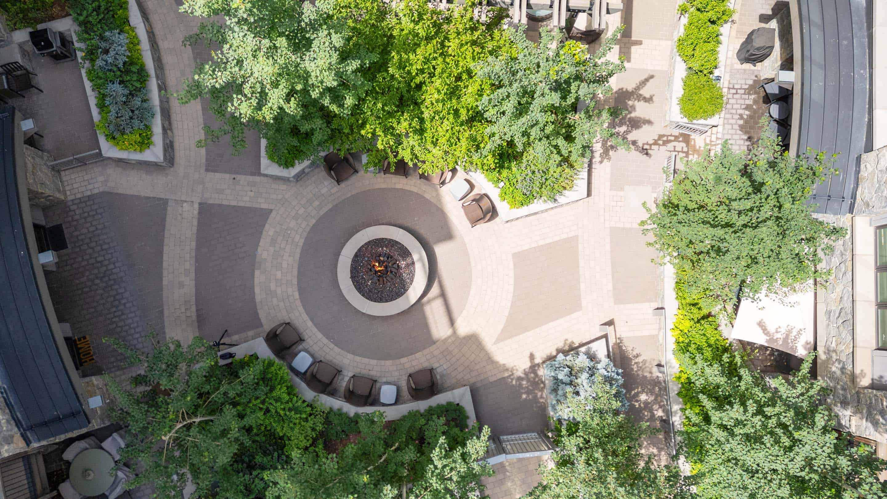 lion-0037_54655055875_o_1