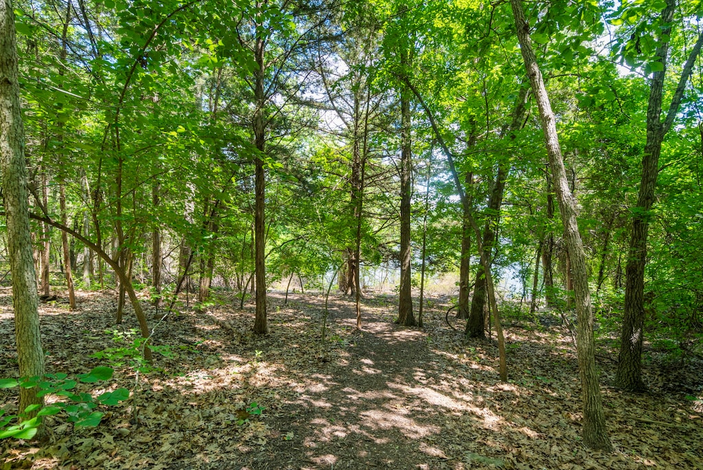 Enjoy the Ozark's Natural Beauty as You Walk to the Lake
