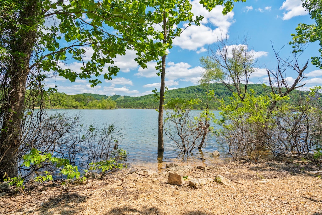 Shores of Table Rock Lake
