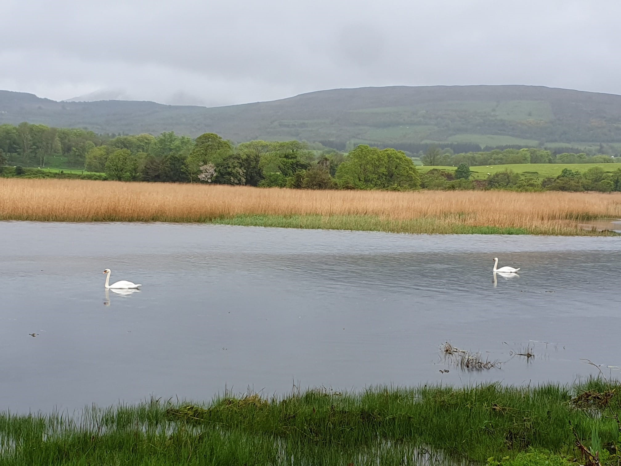 Brand new 2 bedroom home overlooking Kenmare Bay Estuary