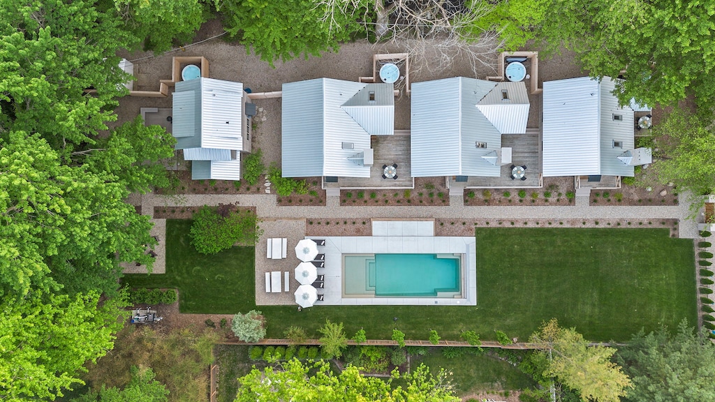 Soaking up the sun from above.