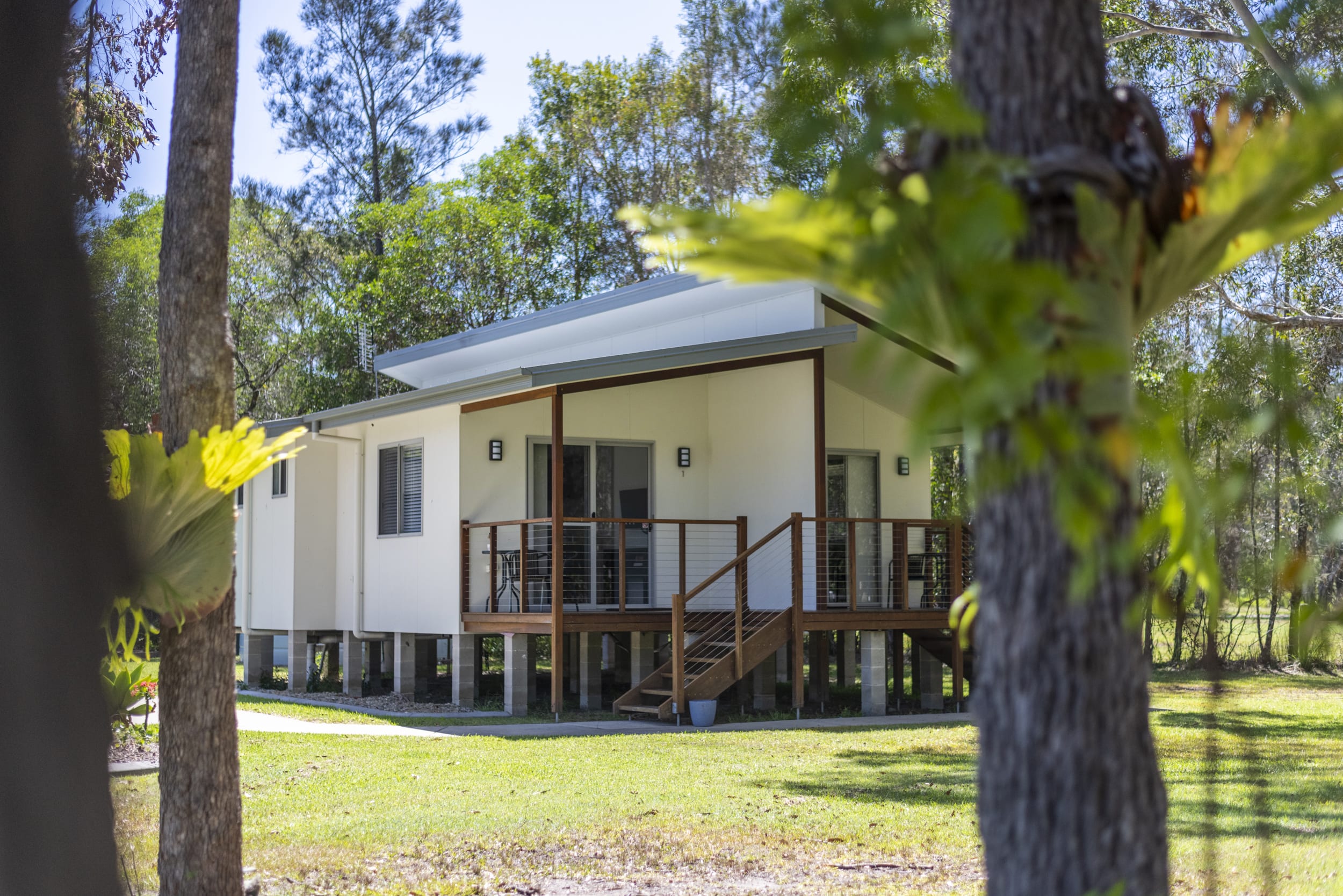 Lazy Woods One - Yamba accommodation nestled in nature -