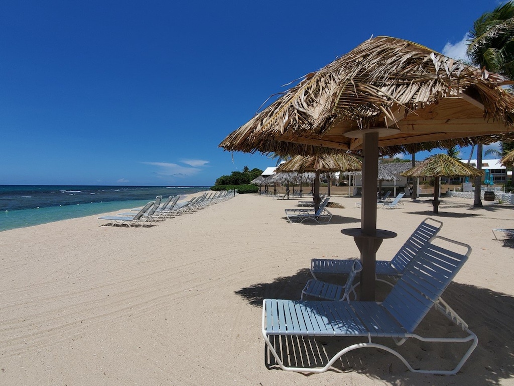 Beachfront, steps from the condo