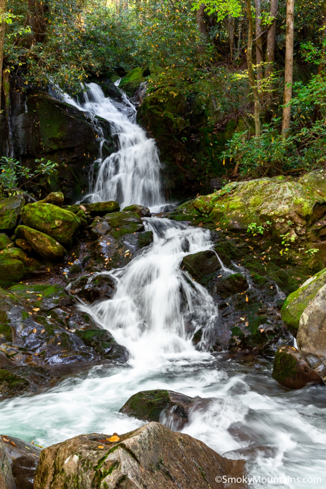 Magic Mountain by Beyond Expectations: w/ Views