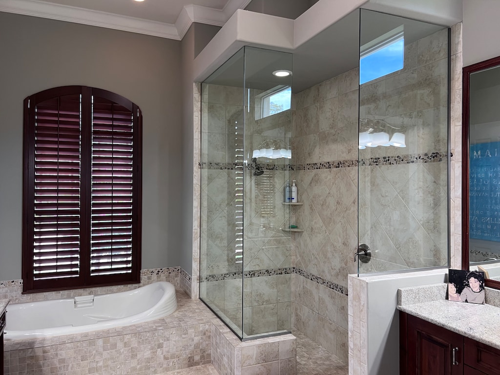 Master Bath step down into Shower  Master Bath step down into Shower 