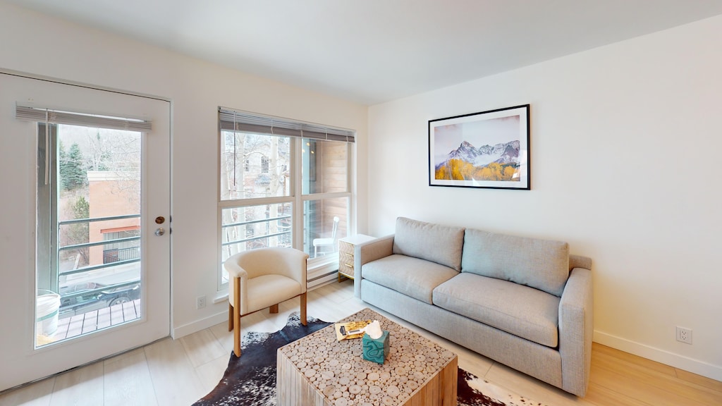 Living Room - Pull-out sleeper sofa