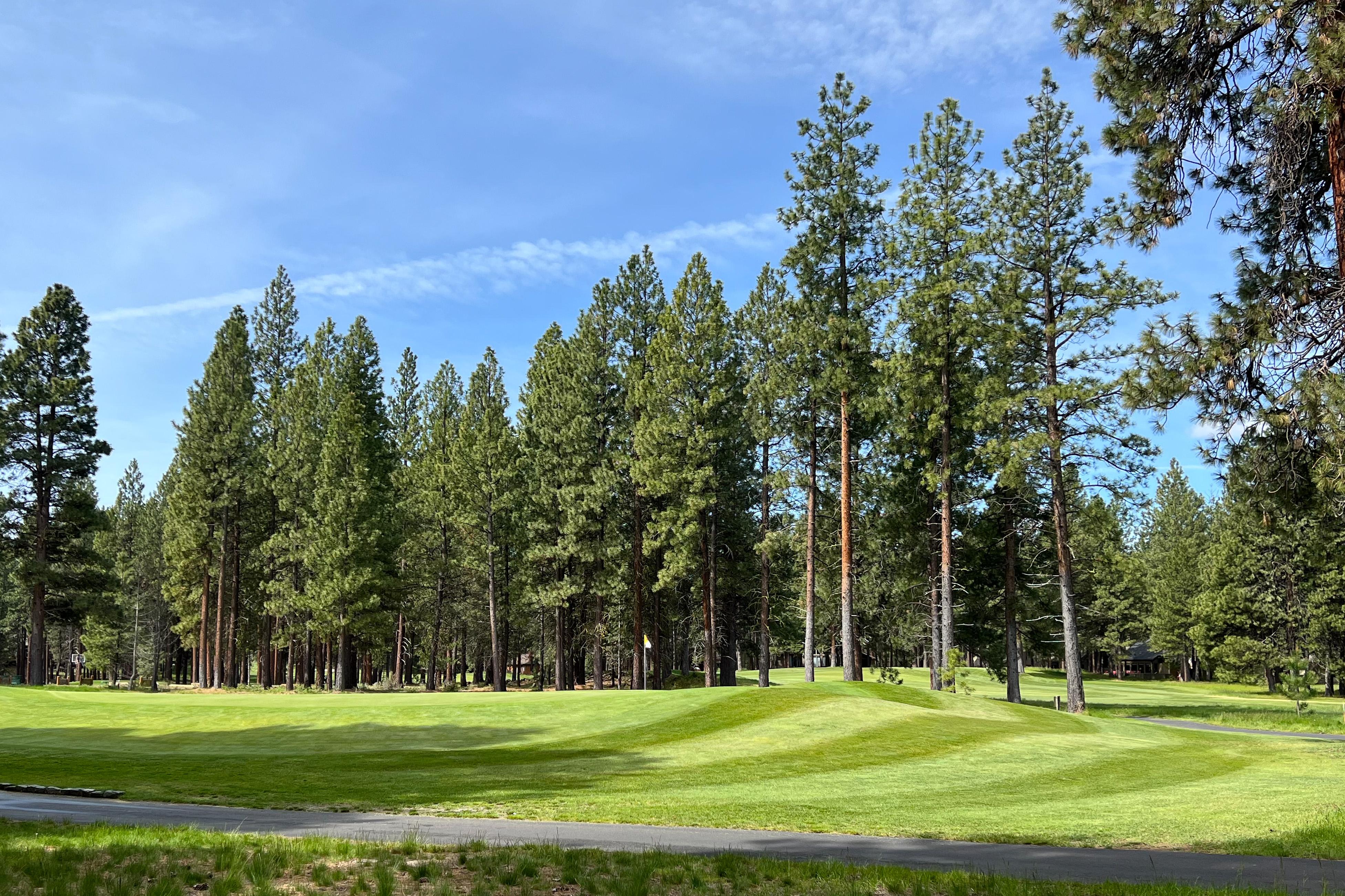 The Avalon The Avalon