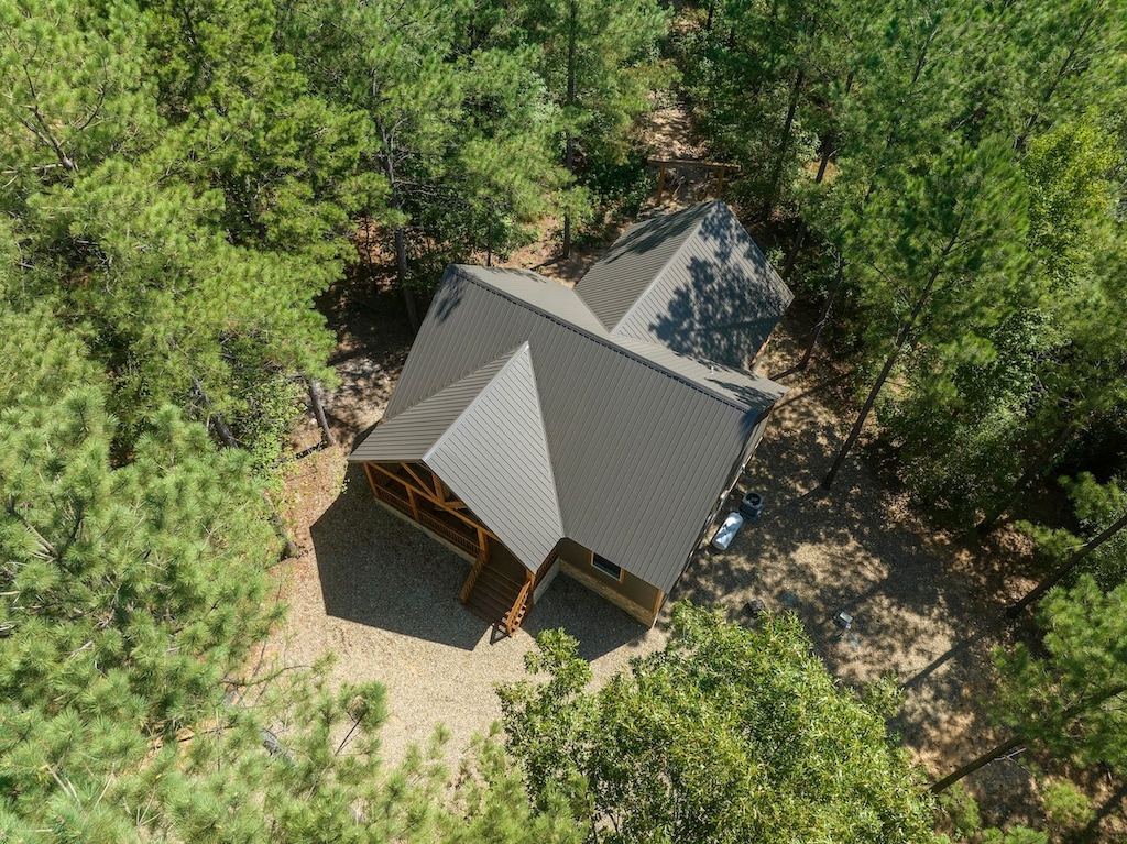 Gorgeous pines surround the cabin.