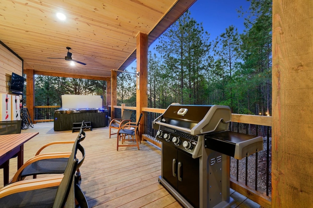 Gas grill for delicious meats and veggies