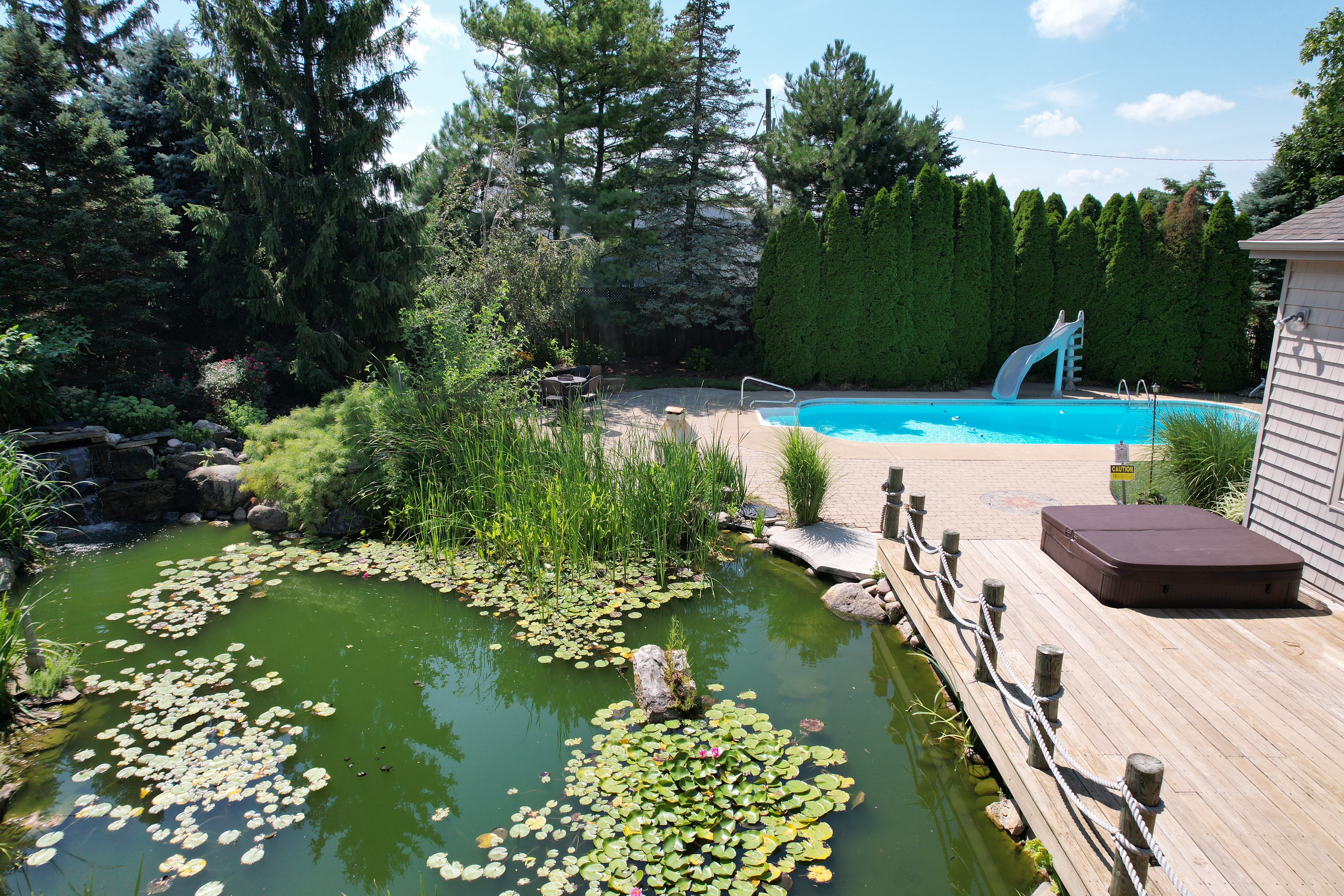 Luxury Koi Pond