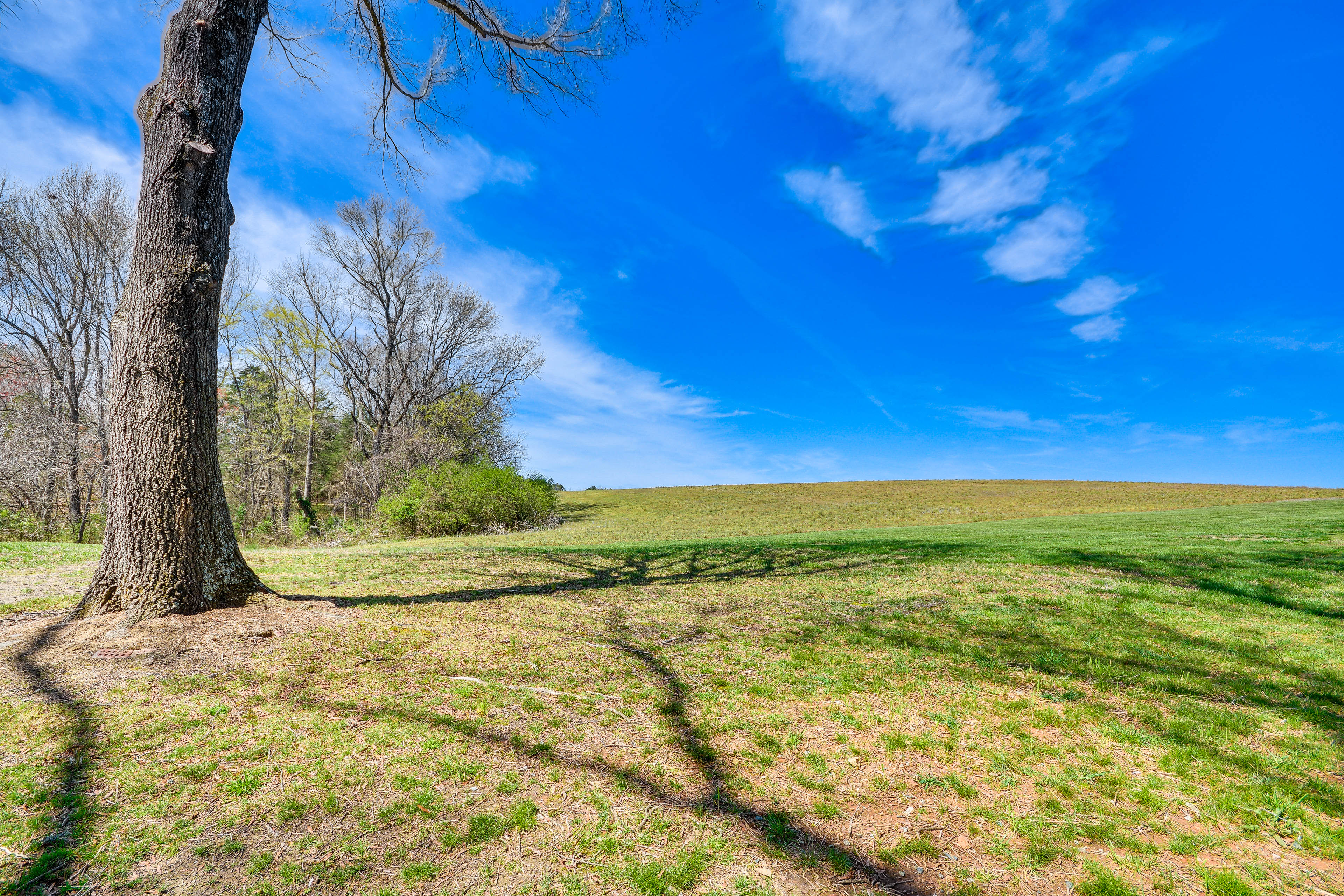 Bright & Elegant Home in High Point w/ Deck!