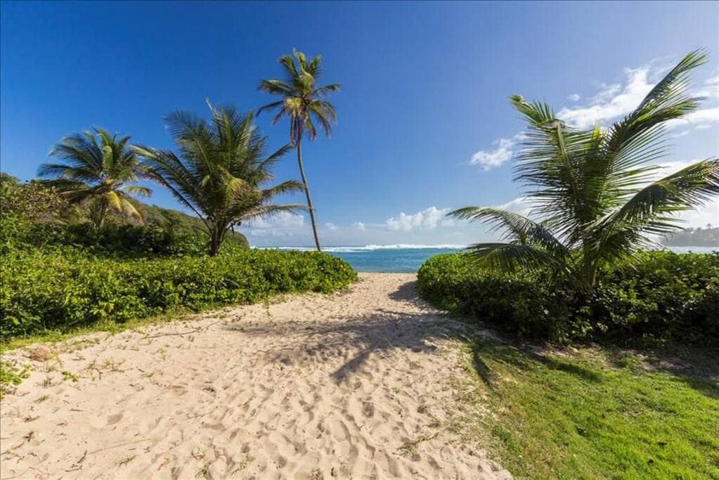 Secluded white sandy beach adjacent to a Hyatt resort beach