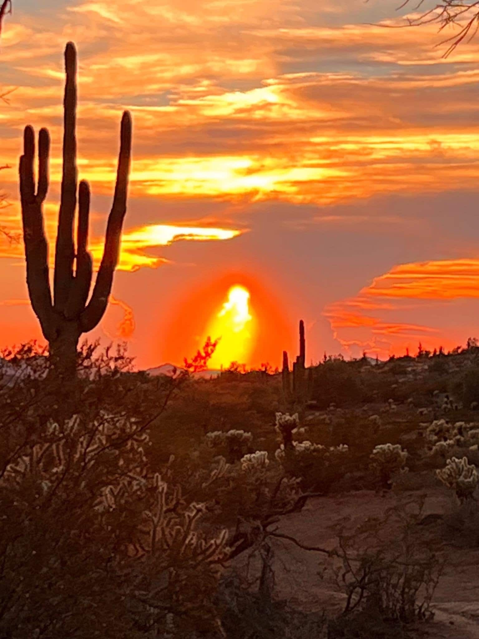 Kimberly Surprise Kimberly Surprise