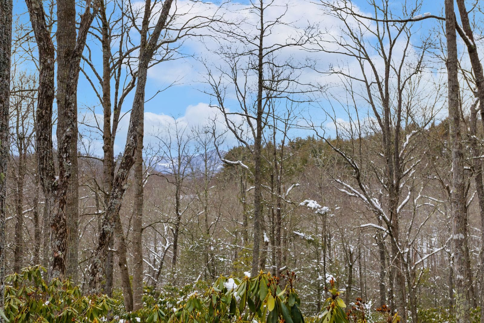 Mountain Views From the Back Deck