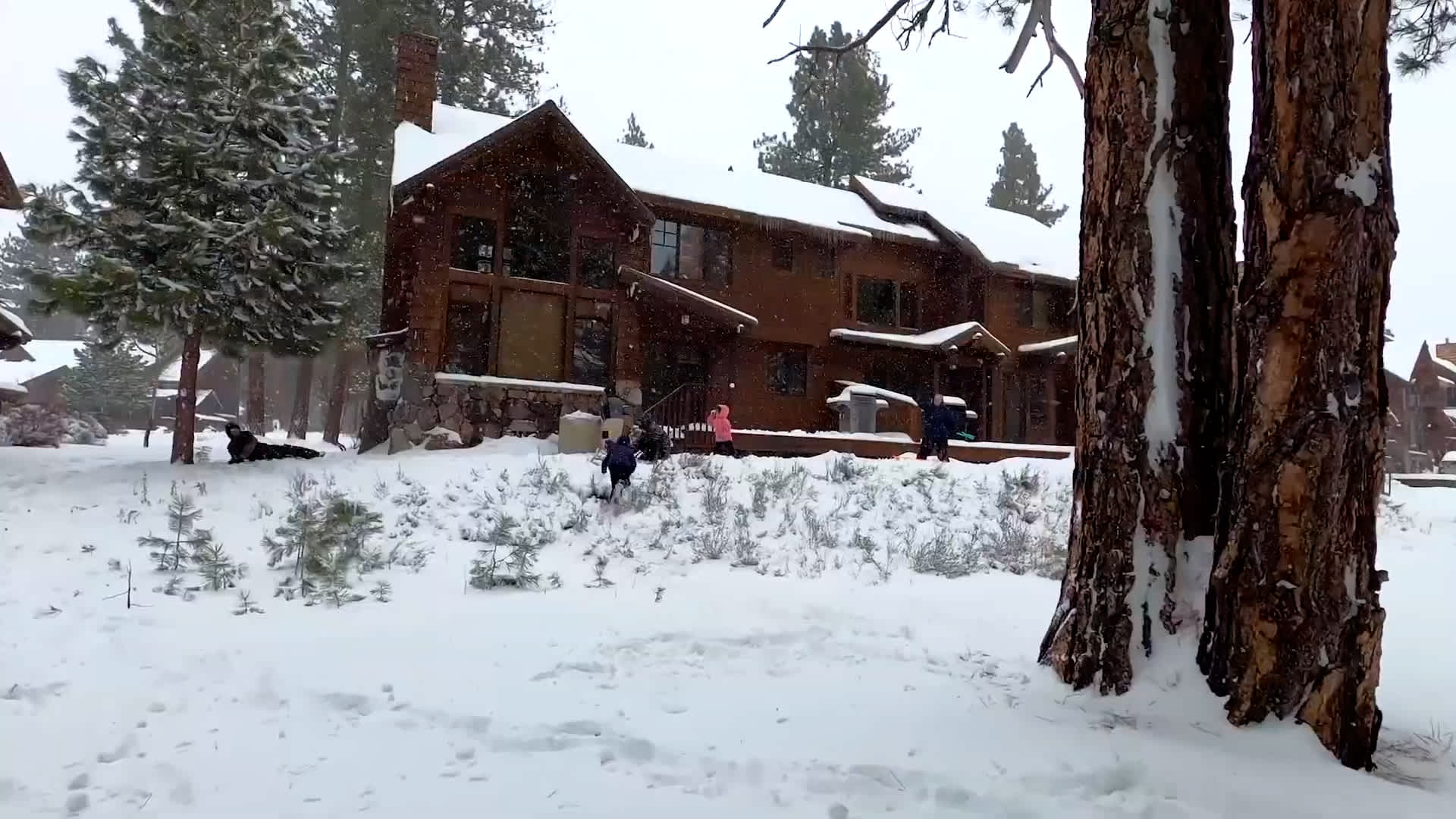 For days spent by the fire, there is plenty of space to roam among the wooded meadows surrounding the Cottages.