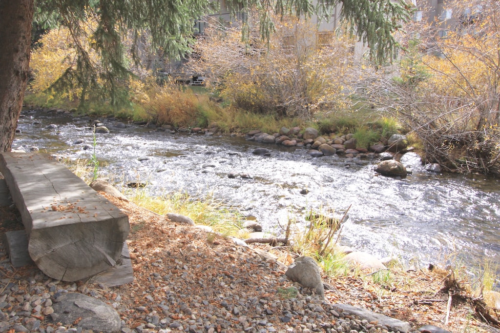 A view of the Fraser River