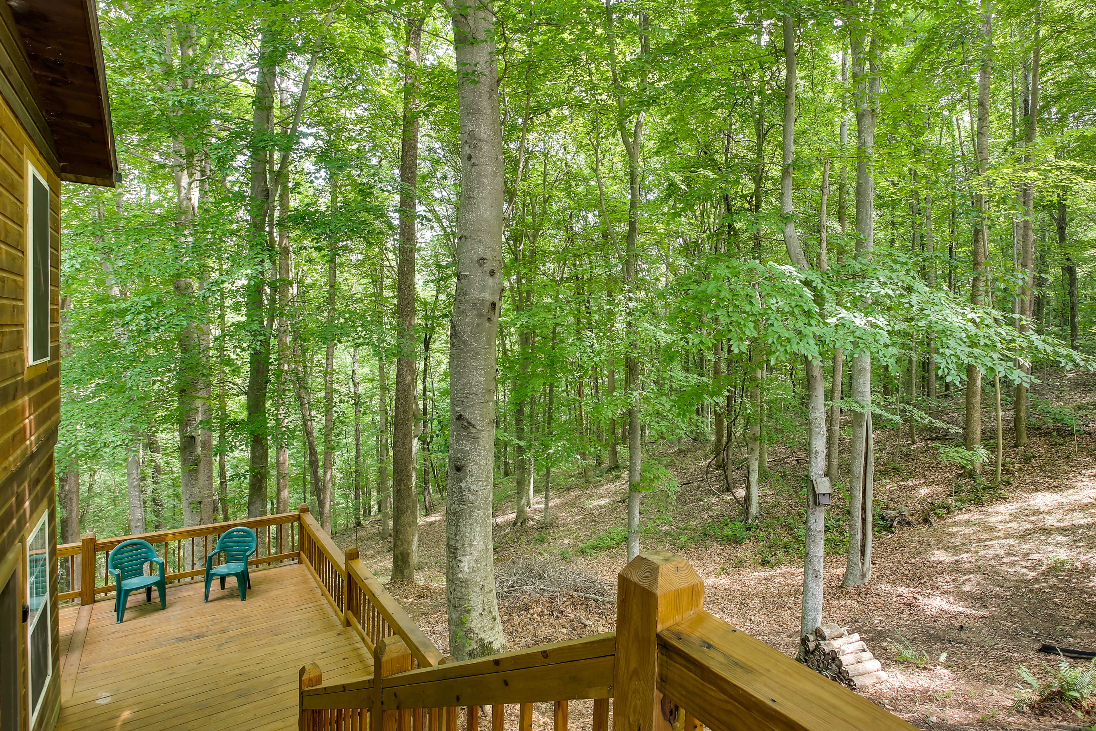 Pet-Friendly Byrdstown Cabin w/ Fire Pit & Porch!