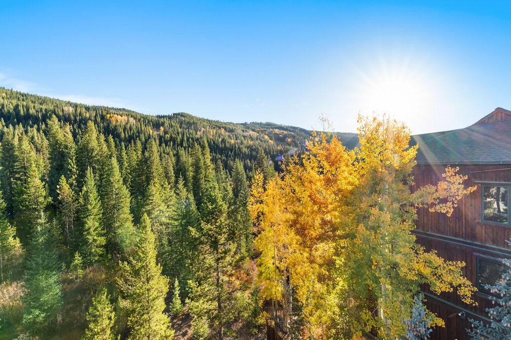 View from the balcony. 