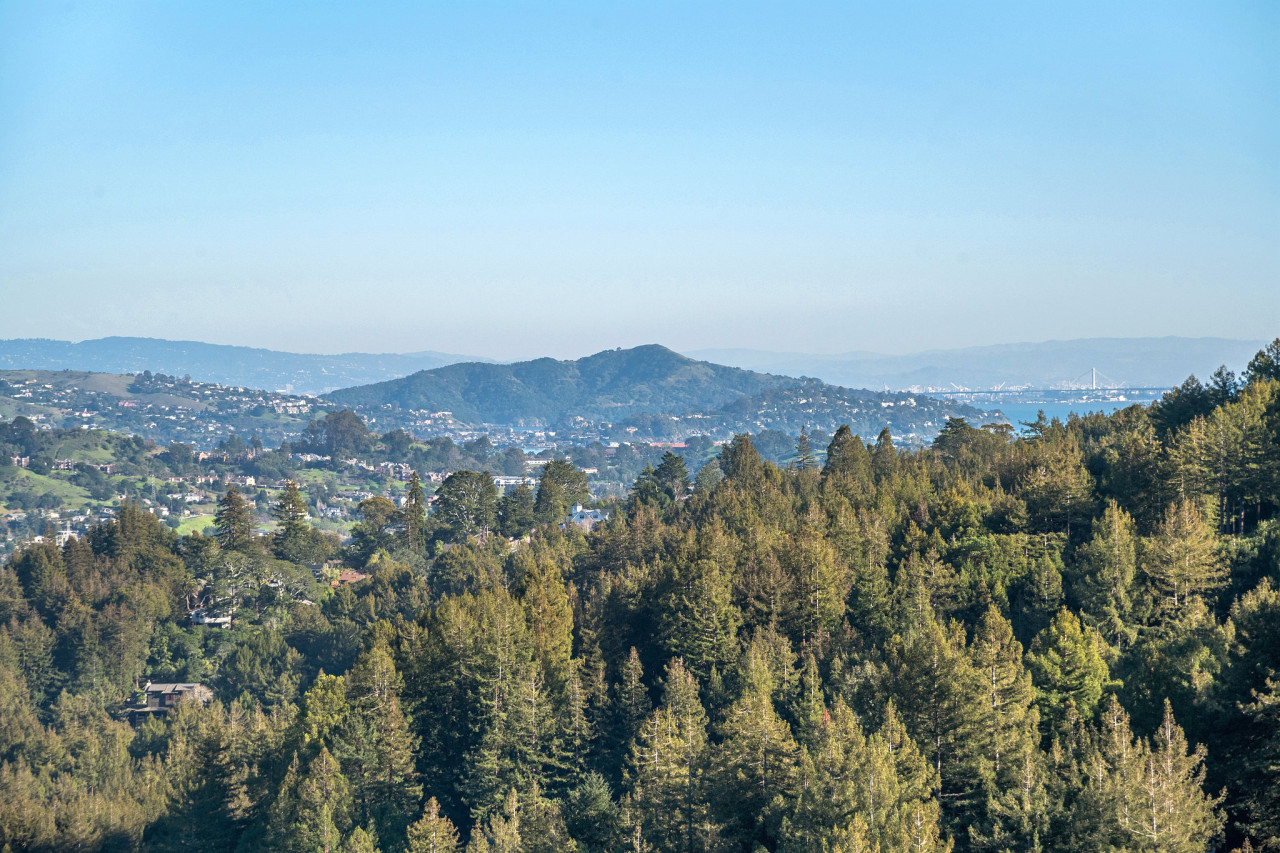 Secluded Charming Mill Valley Retreat Trail Access