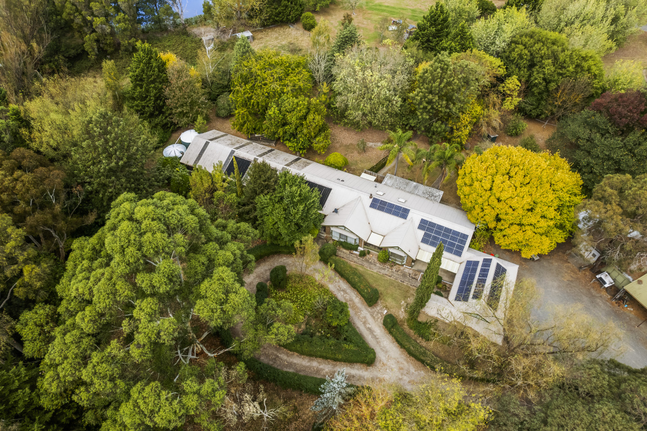 Cedar Lodge 3BR Quaint Countryside Cottage