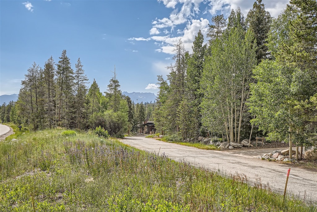 A gravel road surrounded by trees and greenery with mountains visible in the distance under a partly cloudy sky.