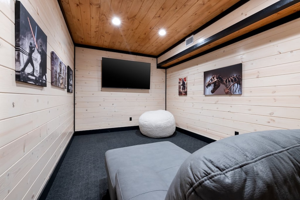 Movie theater room downstairs