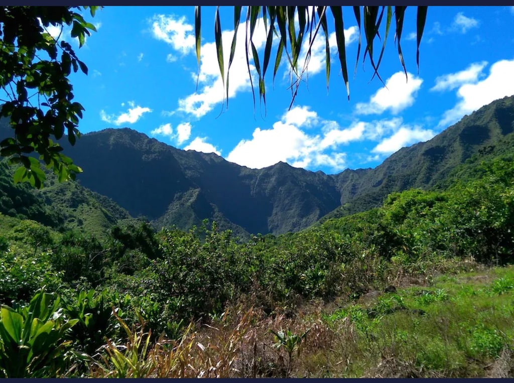 Stunning mountain views