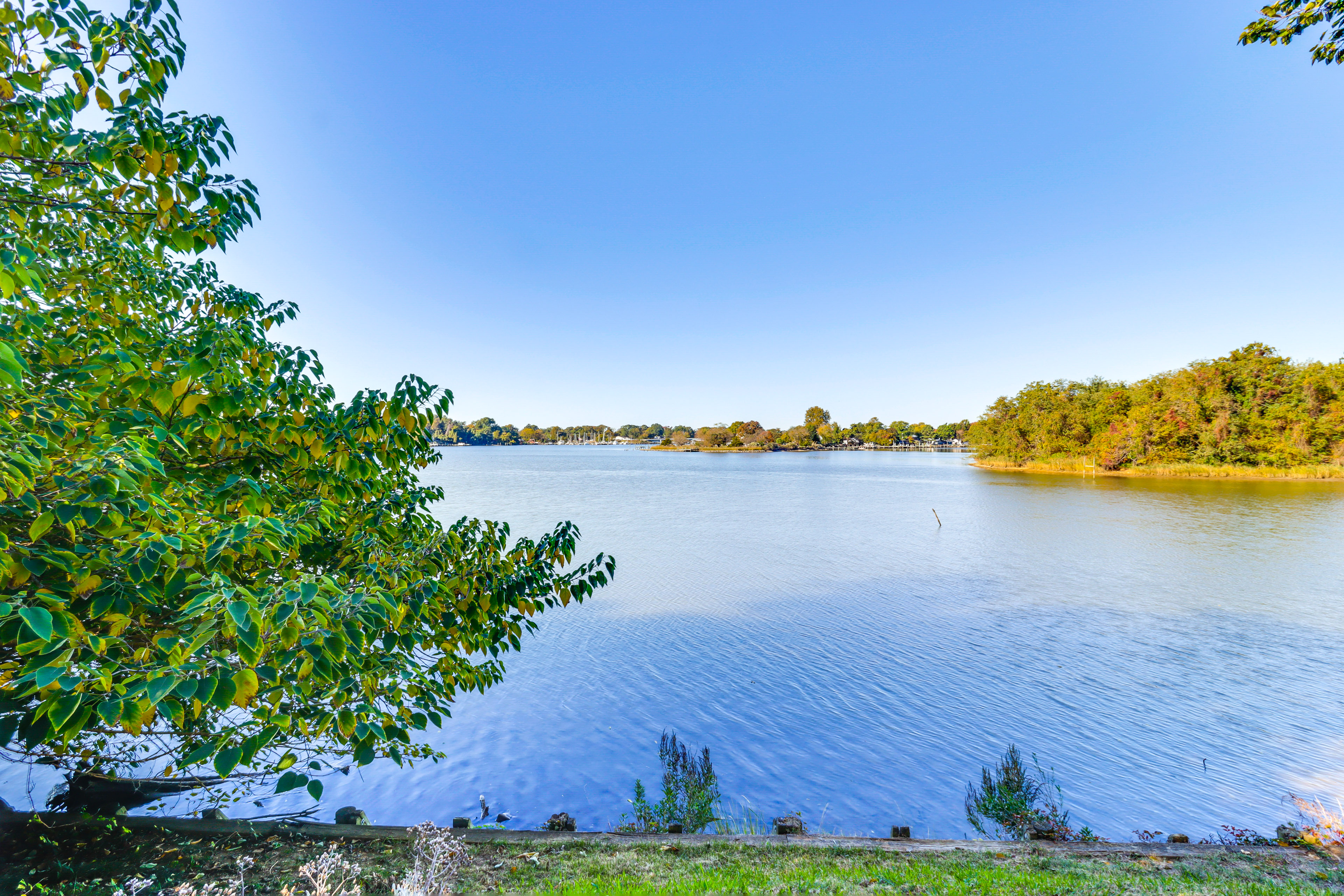 Cottage on the Potomac in Newburg: Shared Pier!