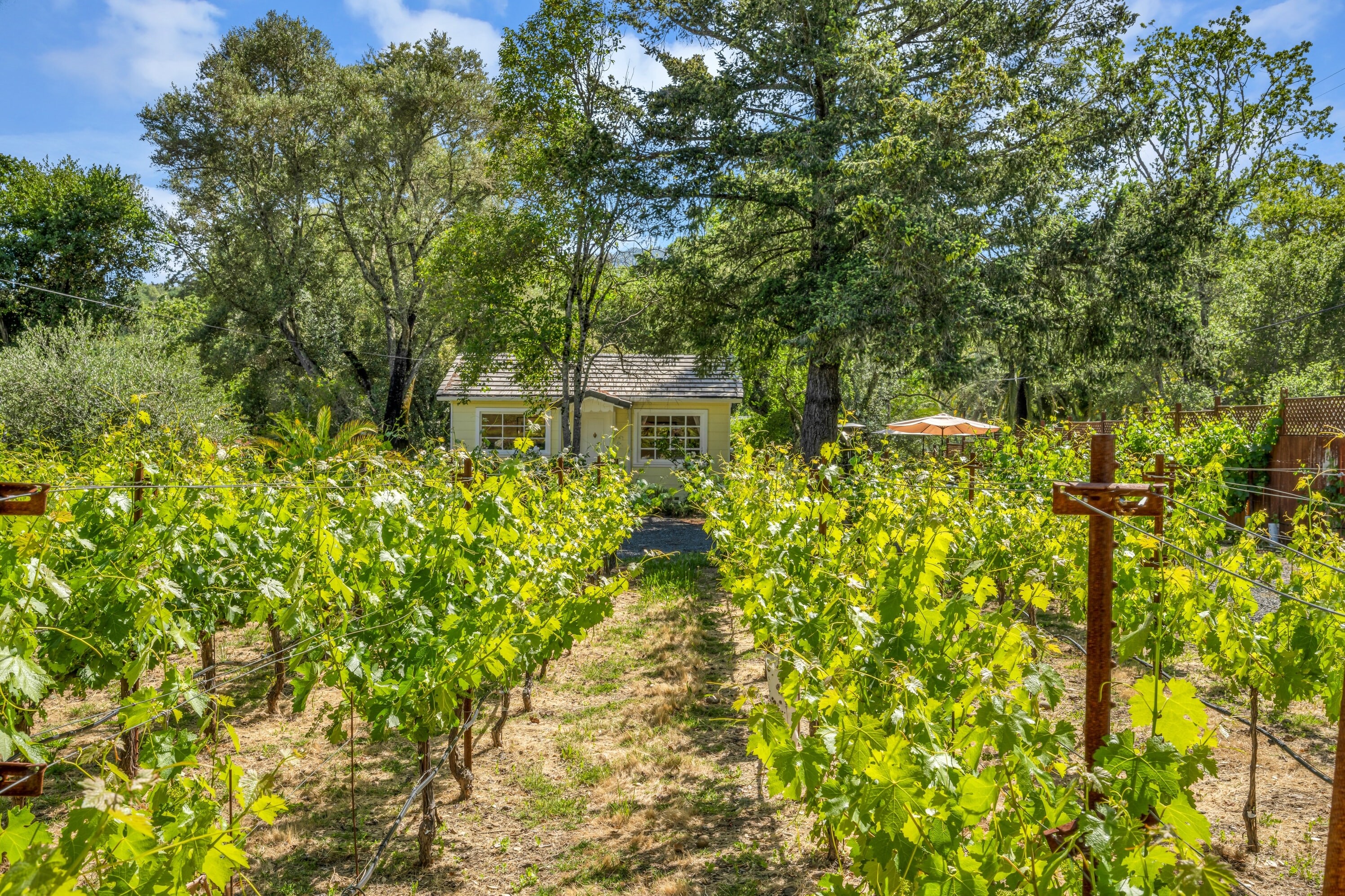 Property Image 2 - Grapevine Cottage by Property Manager | Hobby Vineyard + Firepit