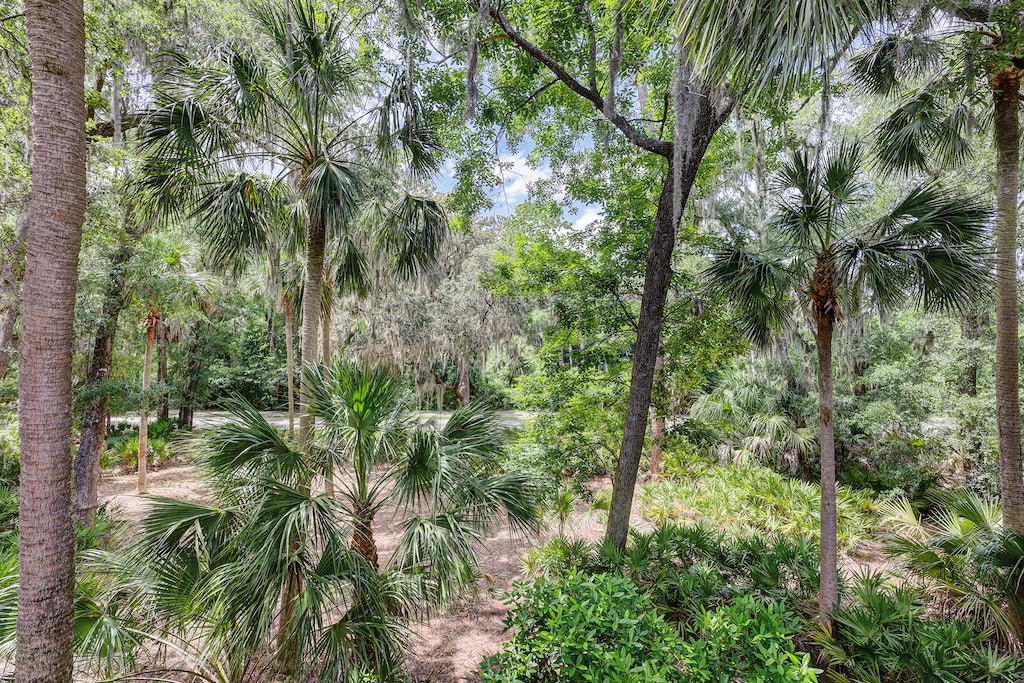 View from Private Balcony