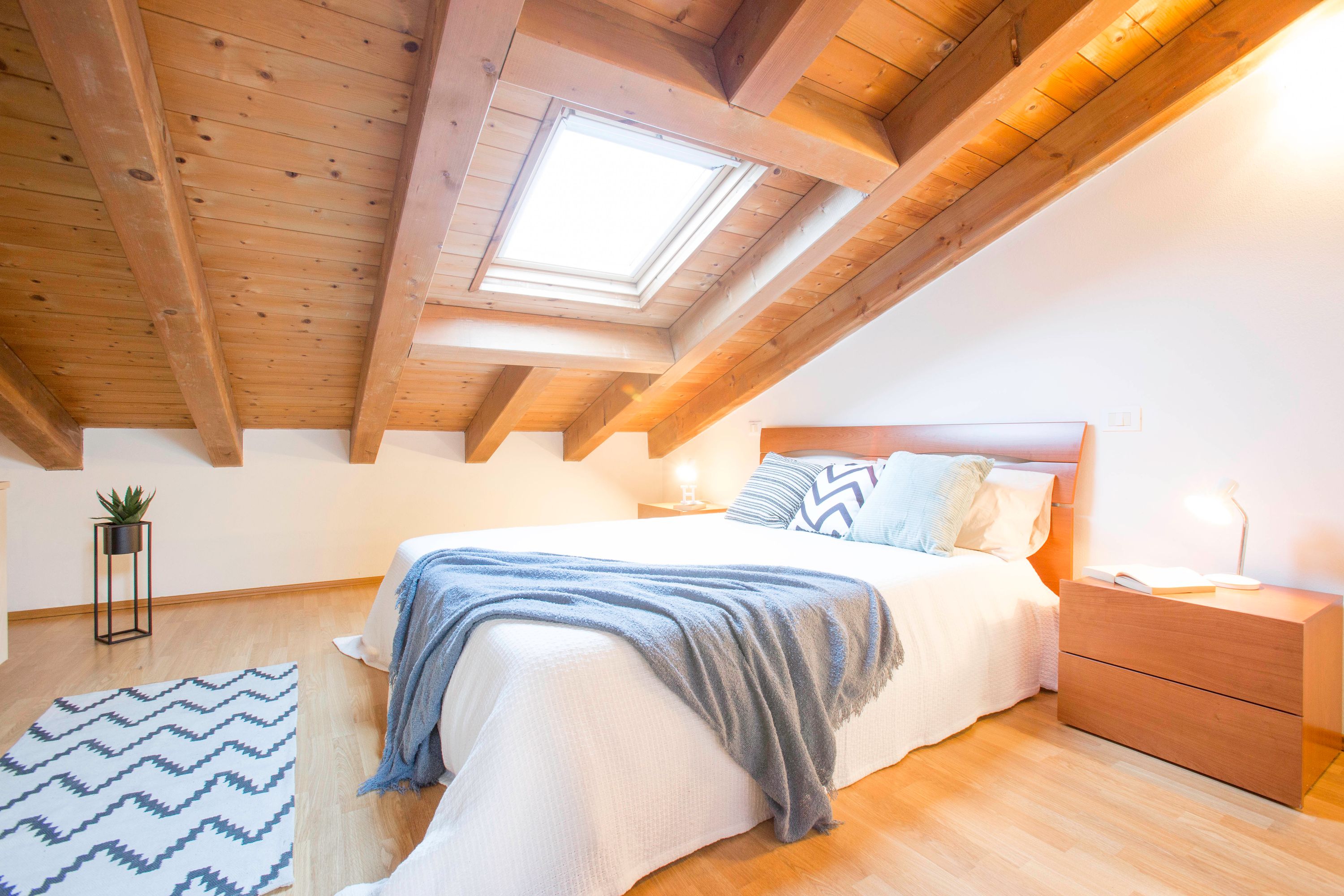 Experia Golf Loft - Italian Homing Experia Golf Loft - Italian Homing