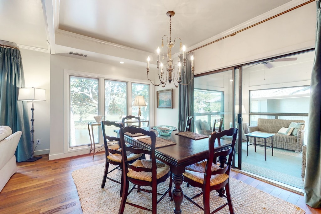 4942-Green-Dolphin-06202023_121824