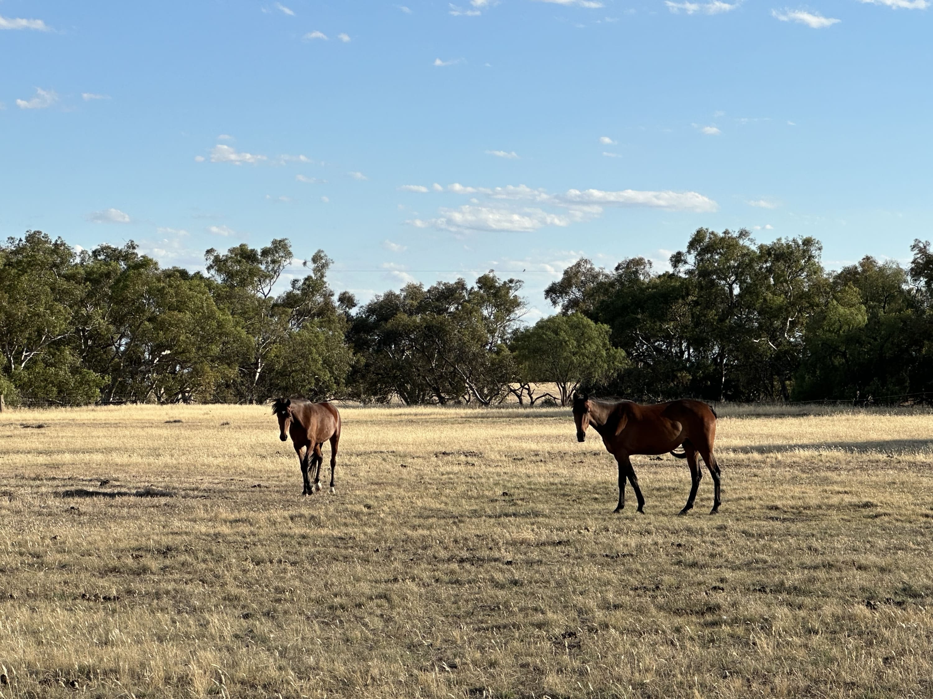 Property Image 2 - Banyena Homestead by Tiny Away