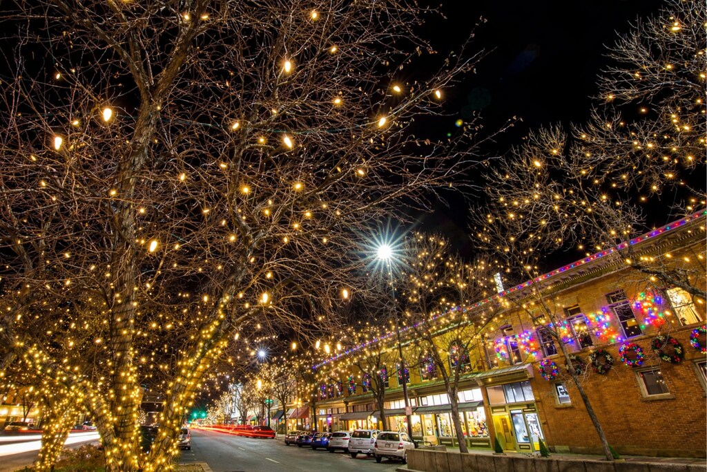 See the holiday lights in Old Town Fort Collins from November through February!