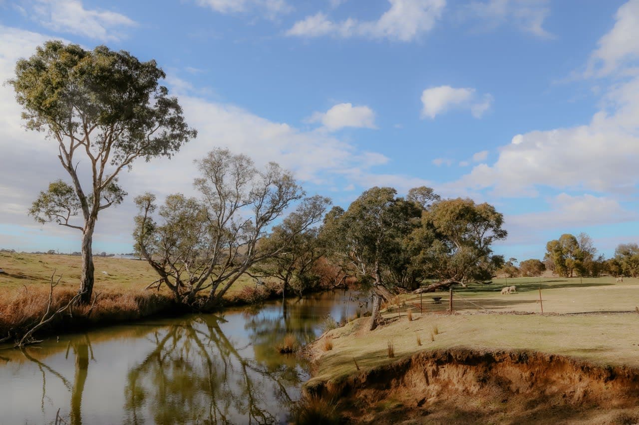 Tiny Boorowa by Tiny Away