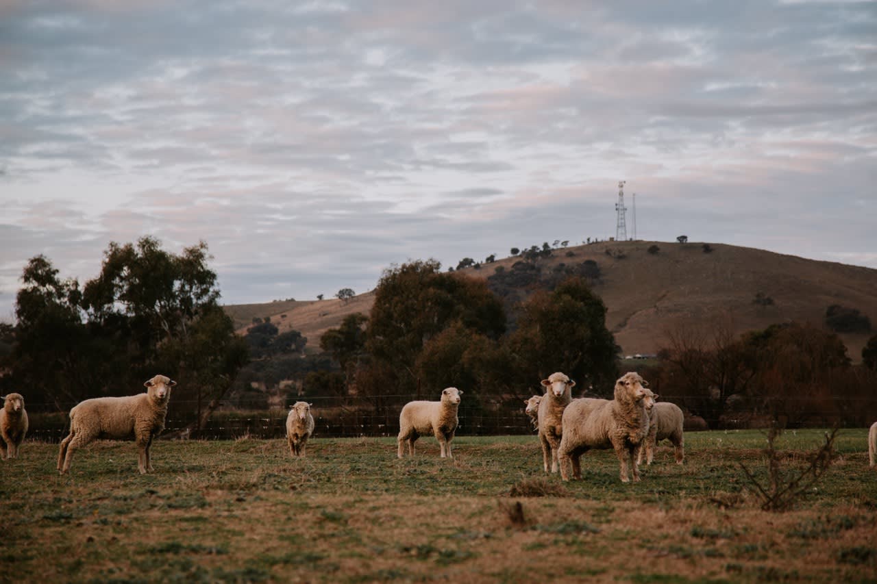 Property Image 2 - Tiny Boorowa by Tiny Away