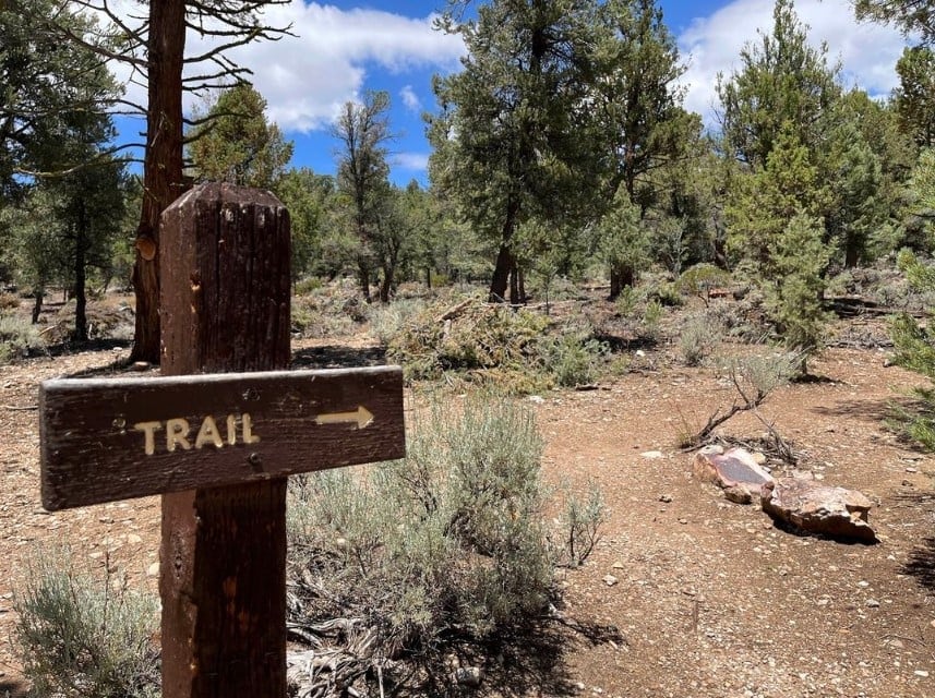 LAZY BEAR LODGE #1235