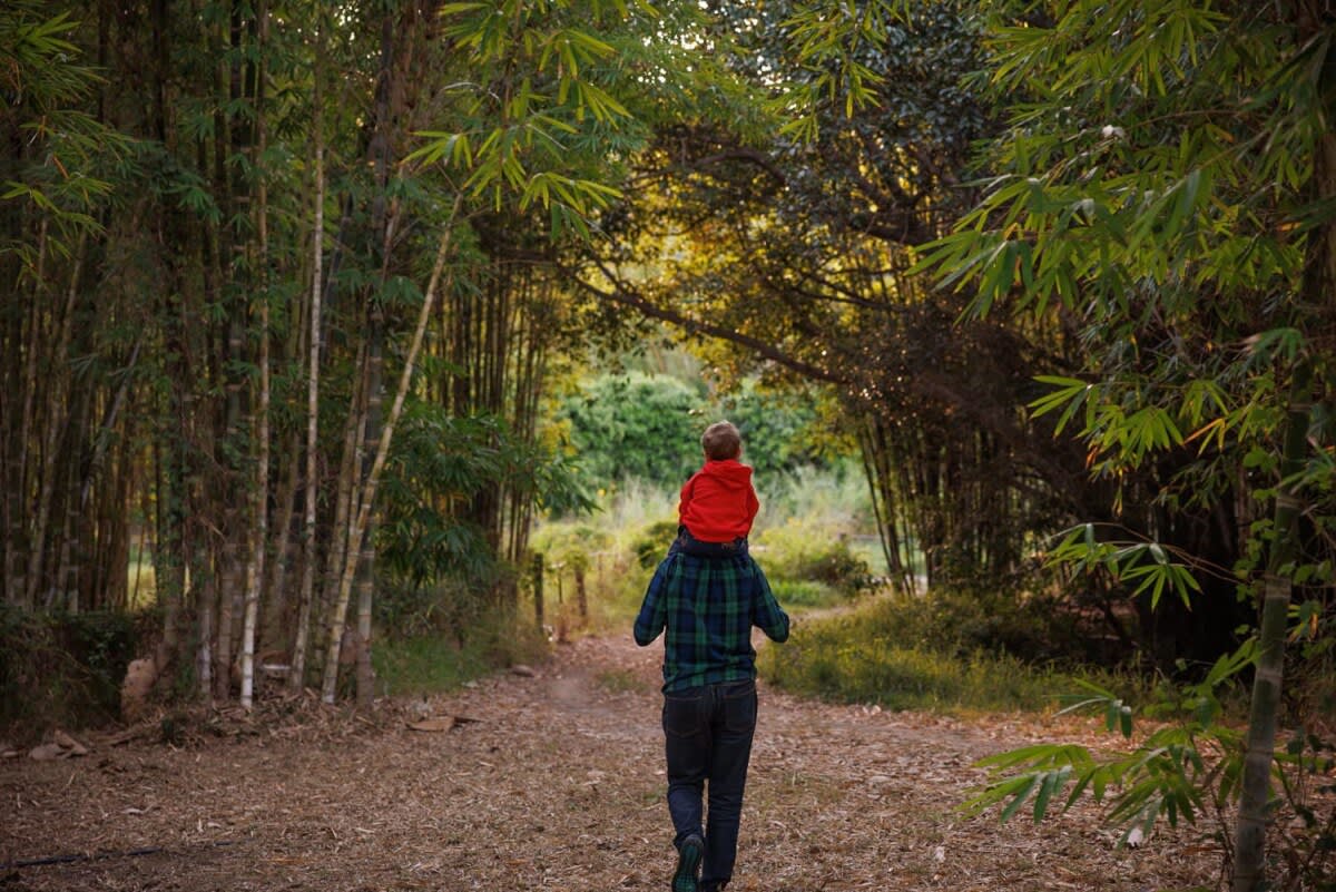 Property Image 2 - Bamboo Grove by Tiny Away