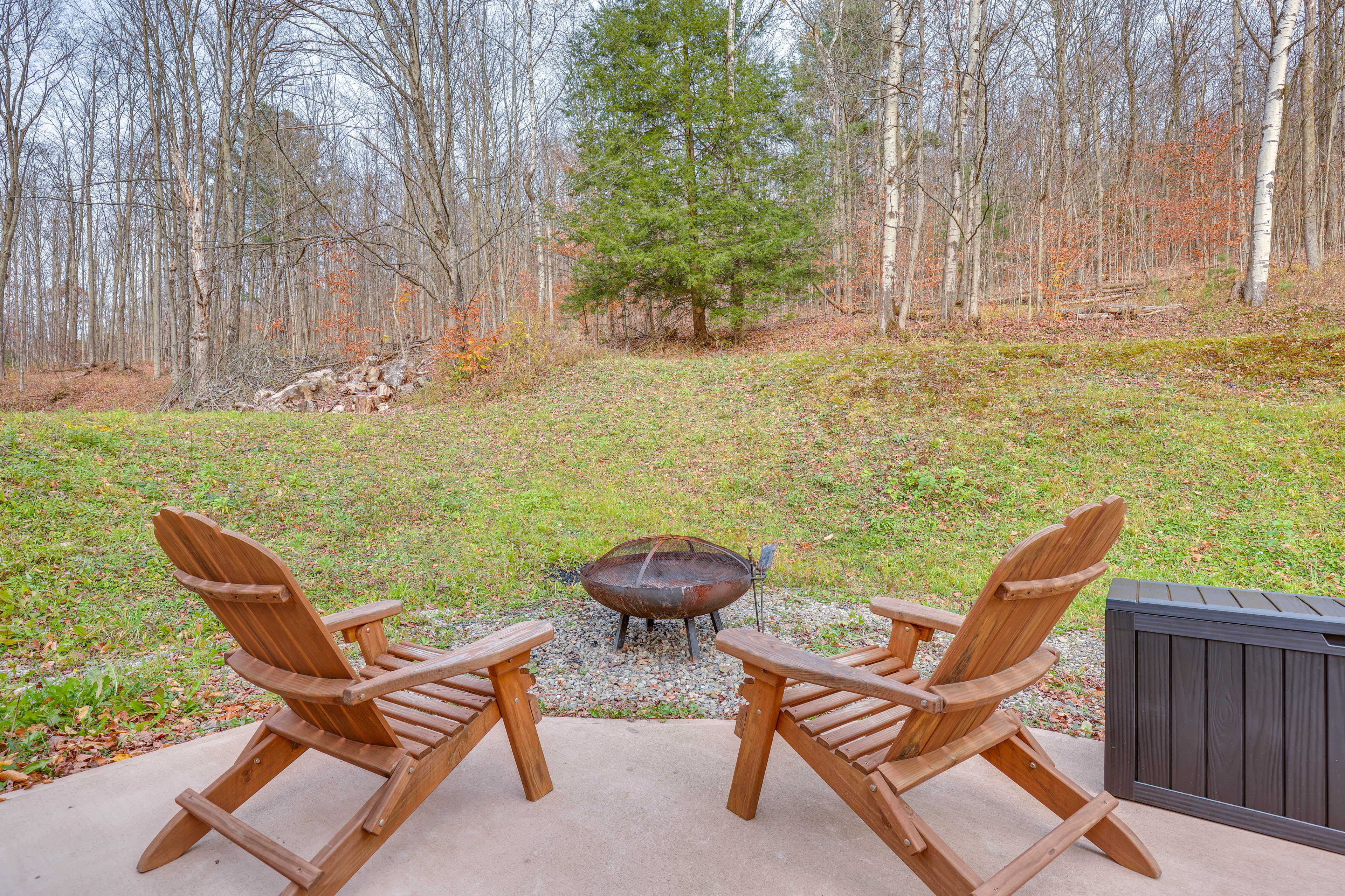 Property Image 2 - Hike, Soak, Stargaze: Cohocton Cabin on 25 Acres