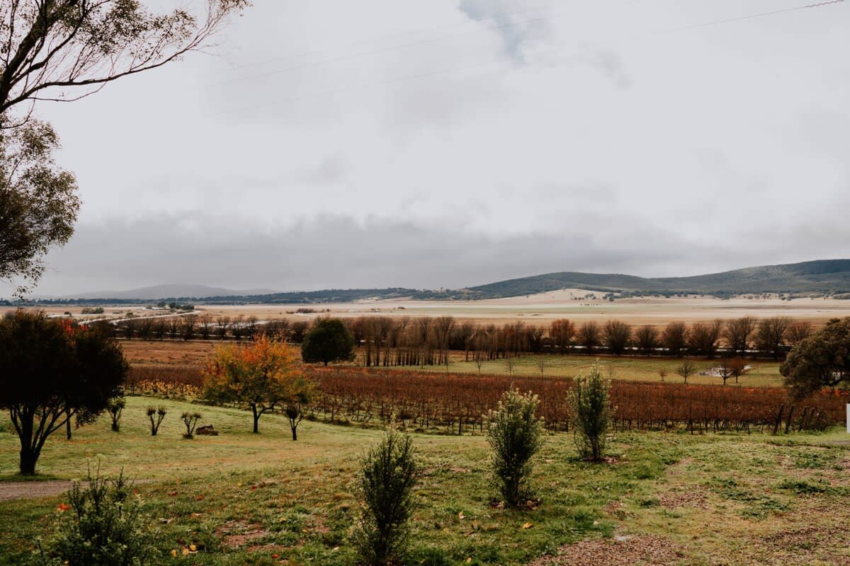 Baxter at Lake George Winery by Tiny Away