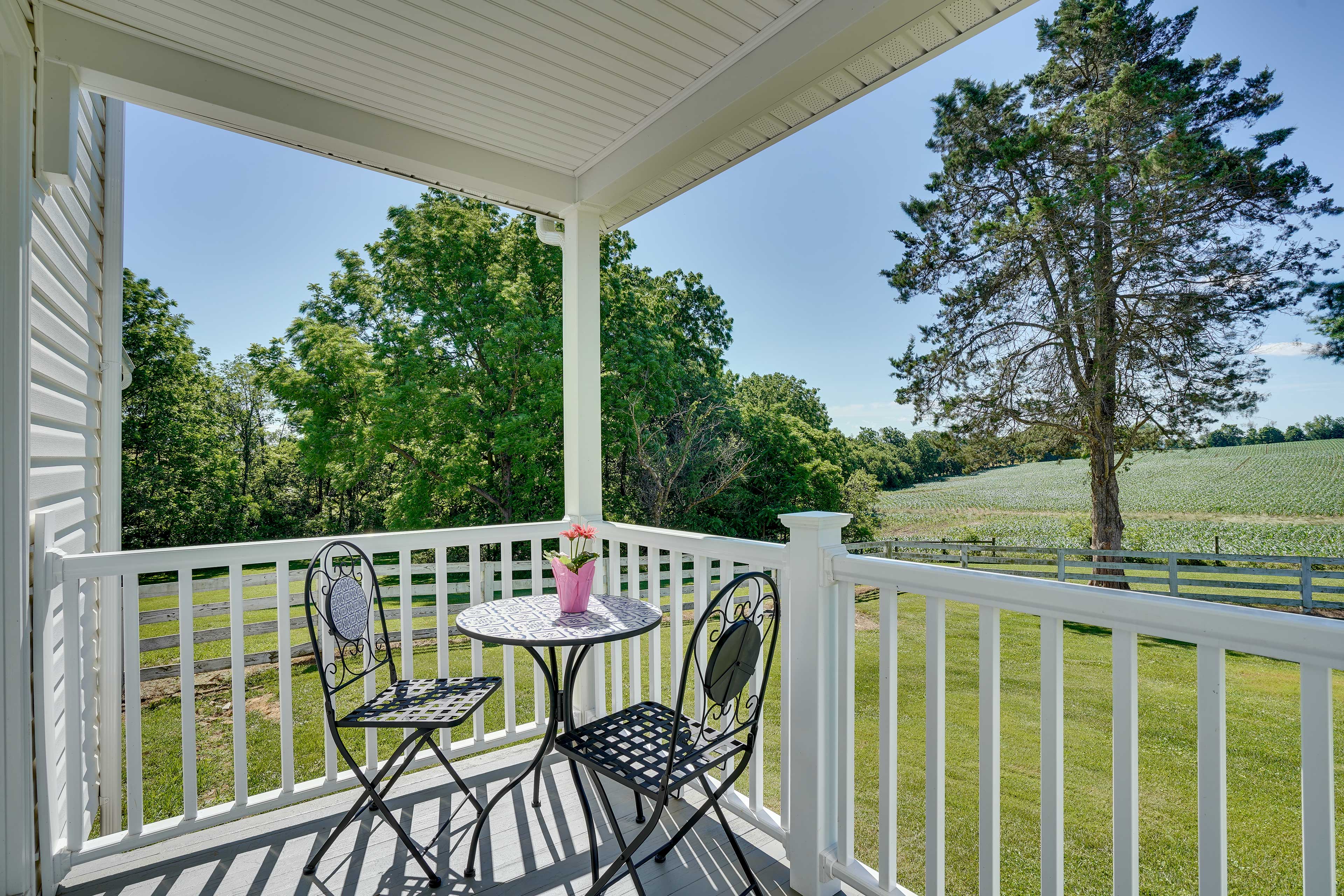 Historic Jefferson Farmhouse - Hike, Bike & Raft!