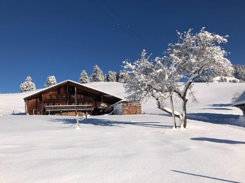 Property Image 1 - Renovated Chalet on Top of the Picturesque Village