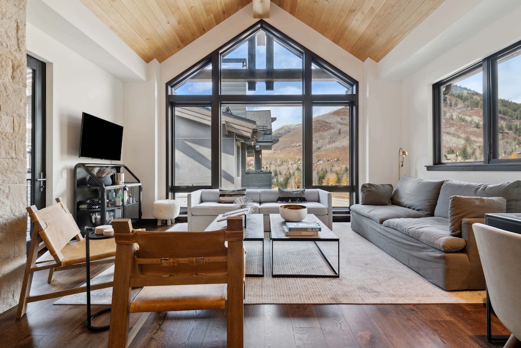 lion-e604-0193_54115895800_o