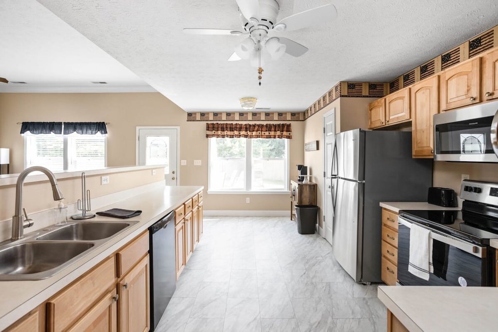 Our kitchen is not just a cooking space; it's a clean and thoughtfully designed haven equipped with kitchen essentials and utensils.