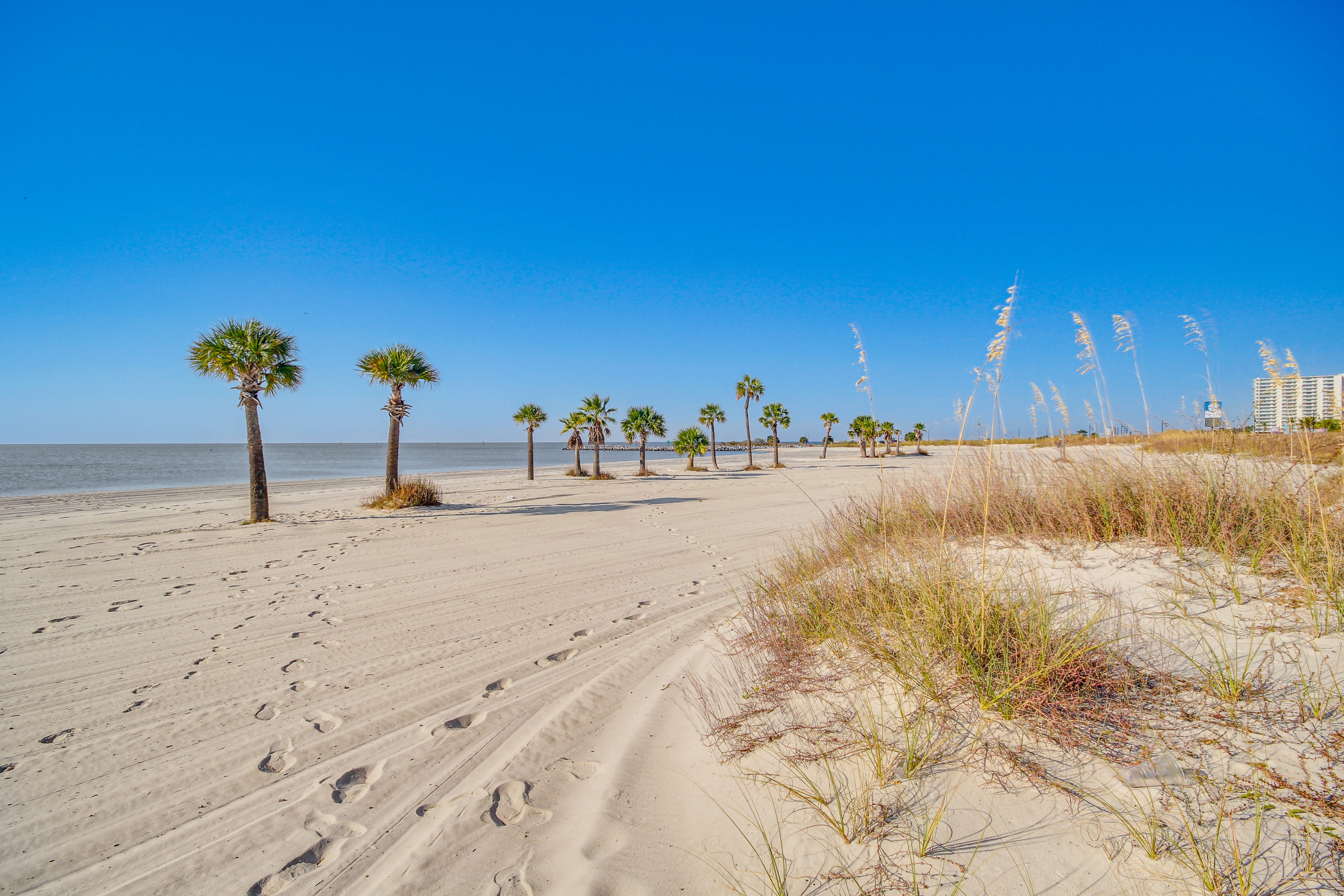 Property Image 2 - Beachfront Condo w/ Pool Access in Biloxi!