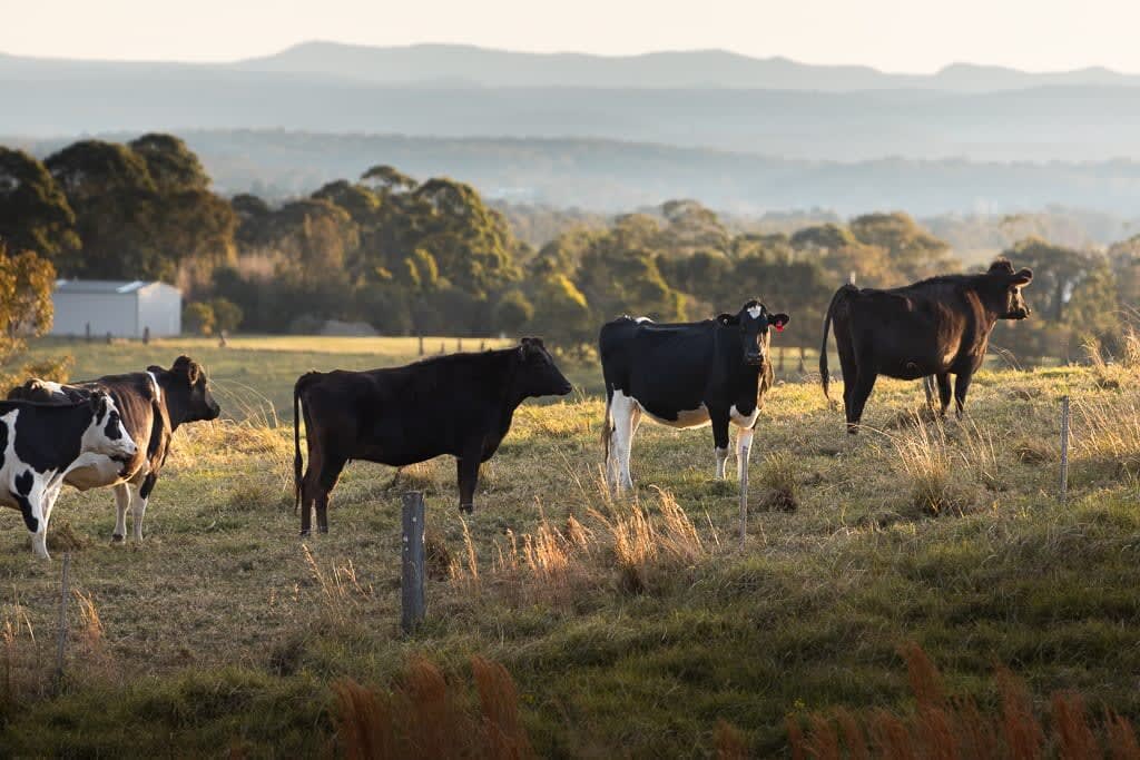Little Magic Tiny House by Tiny Away Little Magic Tiny House by Tiny Away